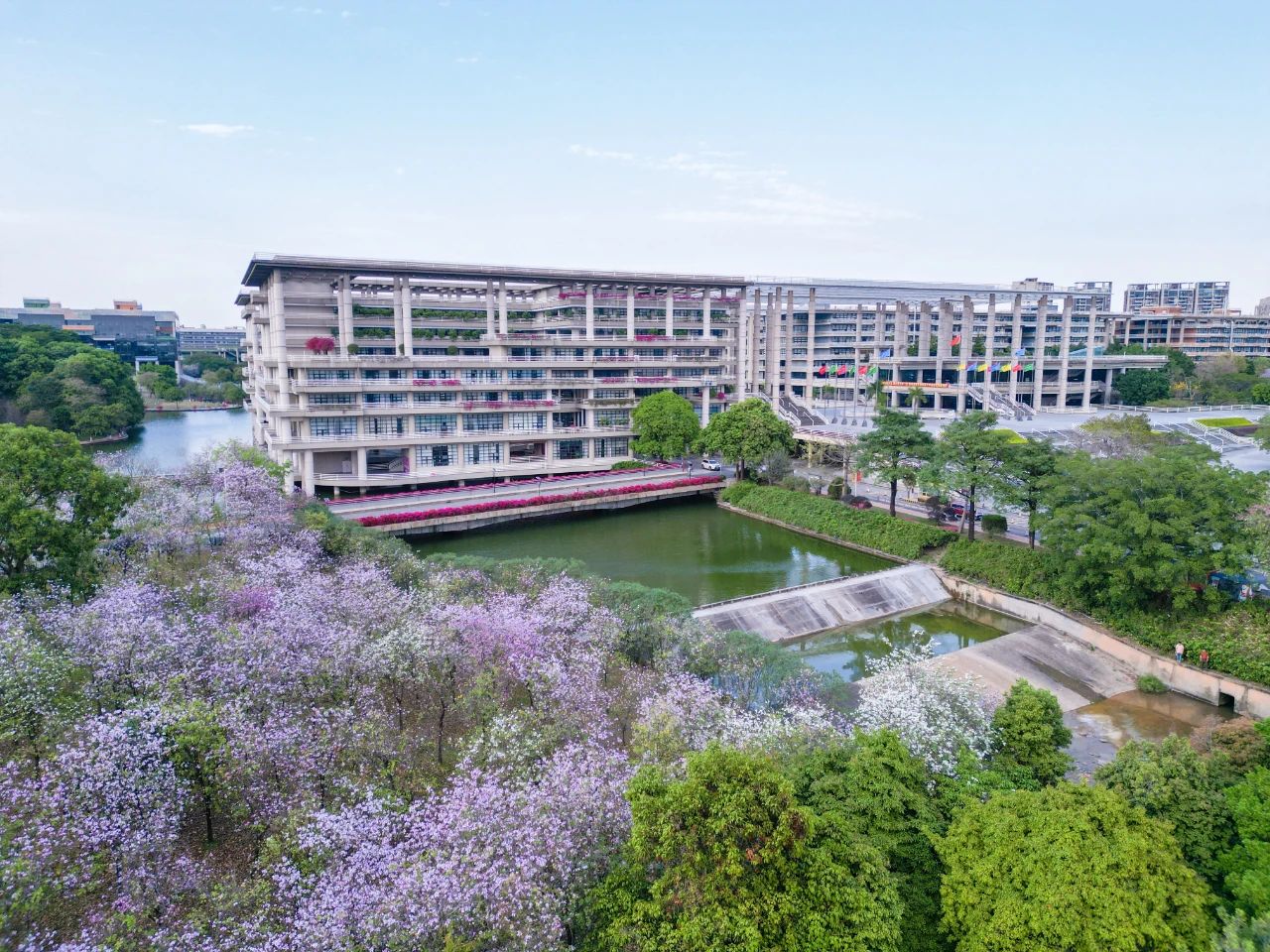 四海归来，攀撑共创 | 校庆月学院活动集锦