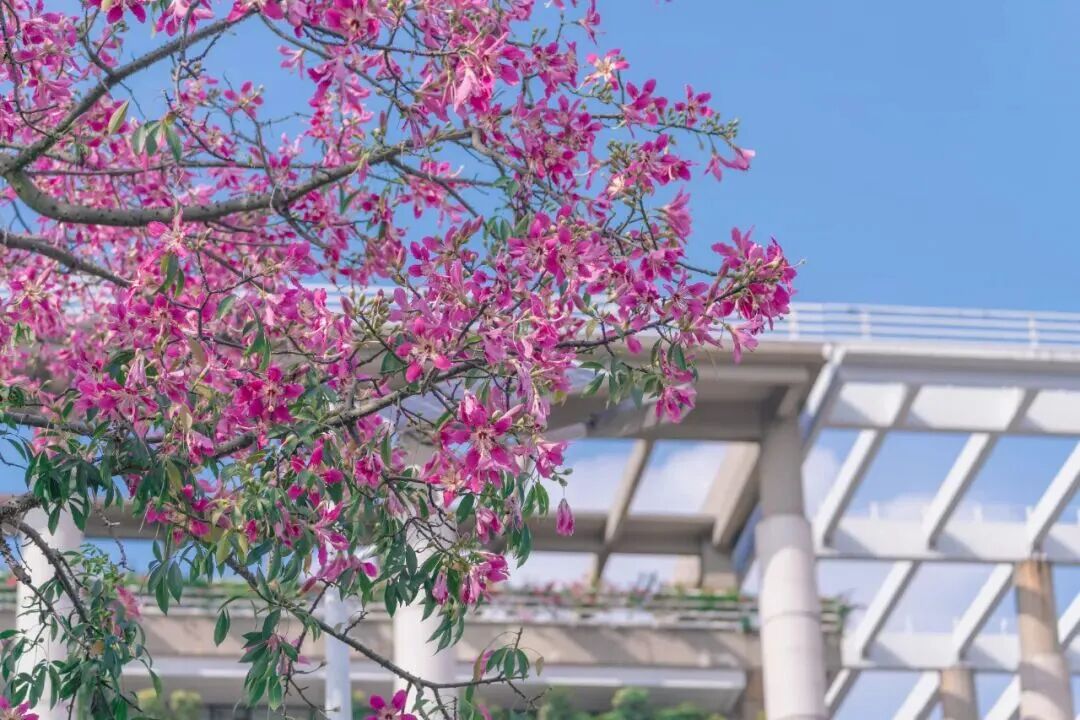 冲刺‼️攻坚 ‼️