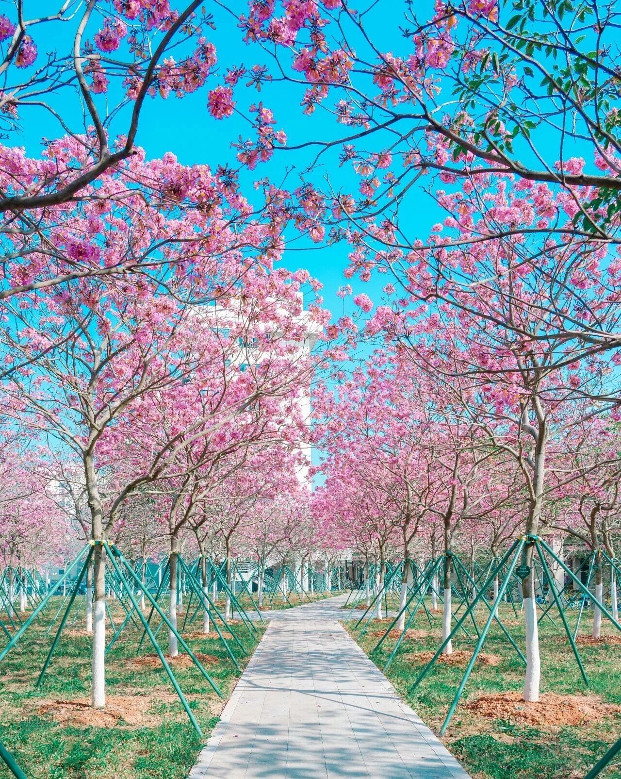 国家级重大项目，广工+1‼️