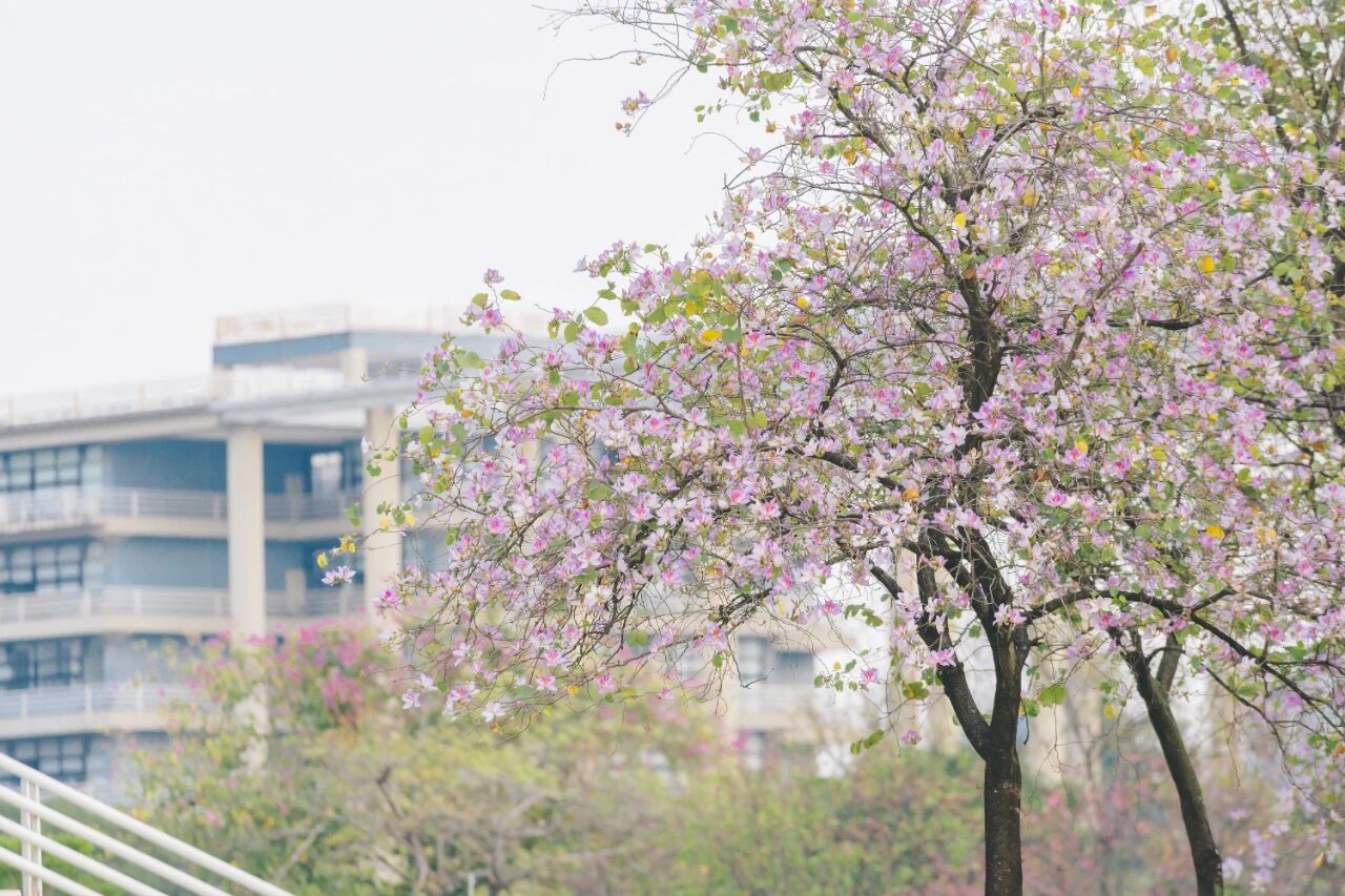 广东工业大学2026年研考复试分数线和复试办法发布